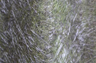 Clunbury fibreglass roof work